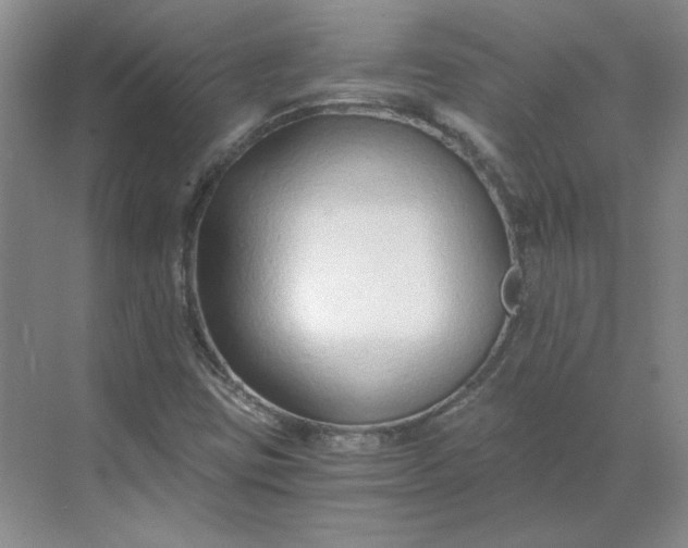 X0000068811403200605191755