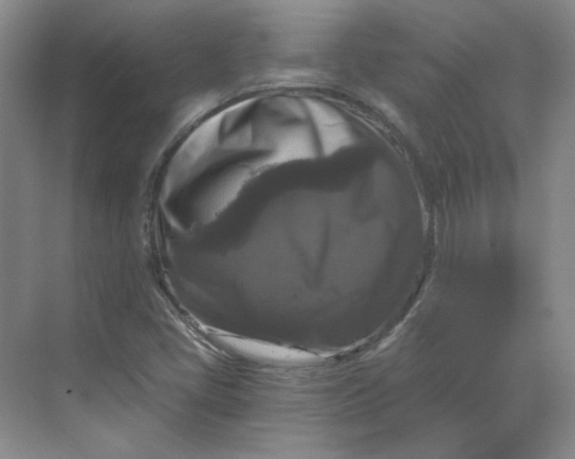 X0000068811405200605191755
