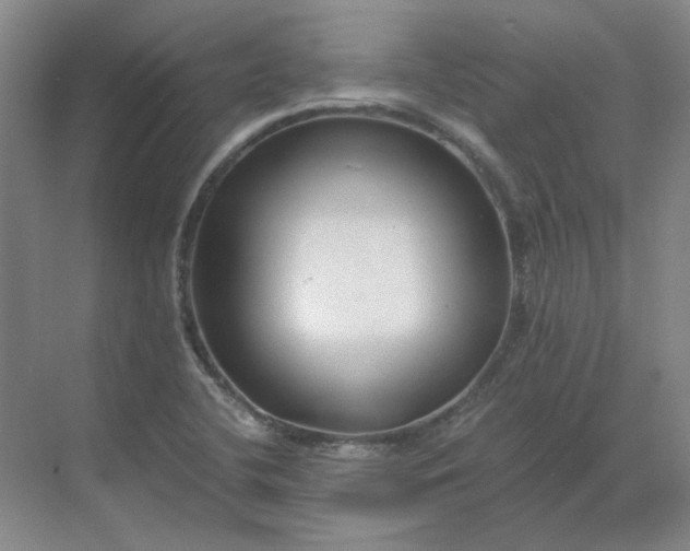 X0000068811412200605191755