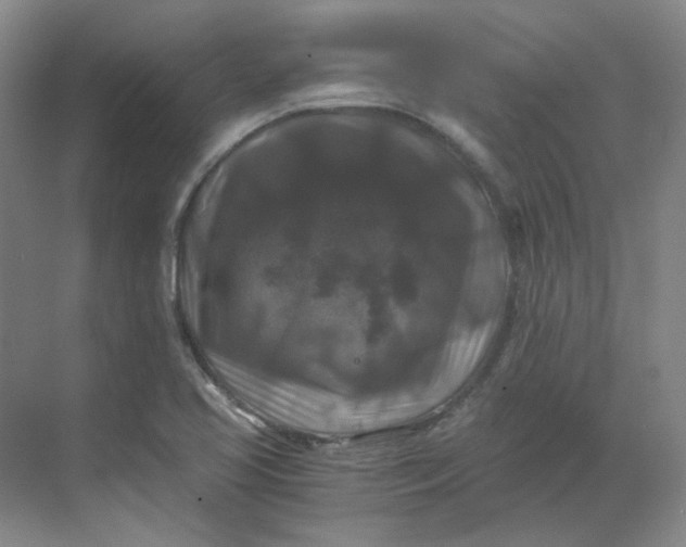 X0000068811413200605191755