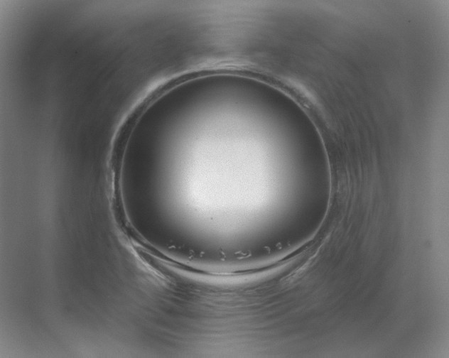 X0000068811414200605191755
