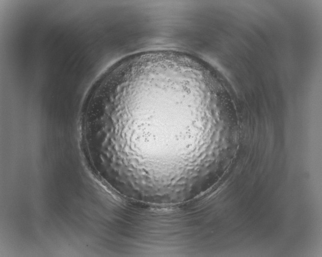 X0000068811415200605191755