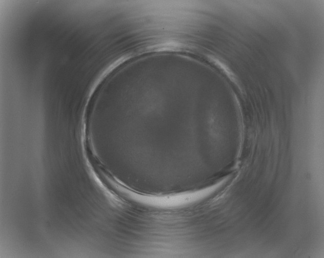 X0000068811418200605191755