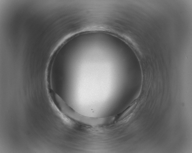 X0000068811422200605191755