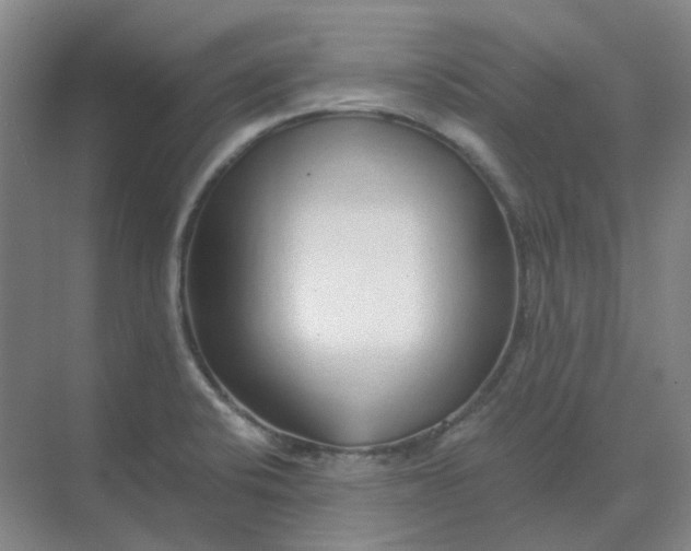 X0000068811424200605191755