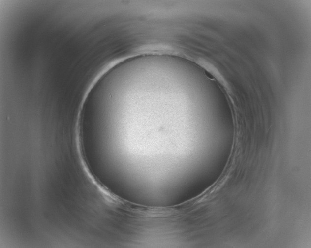 X0000068811440200605191756