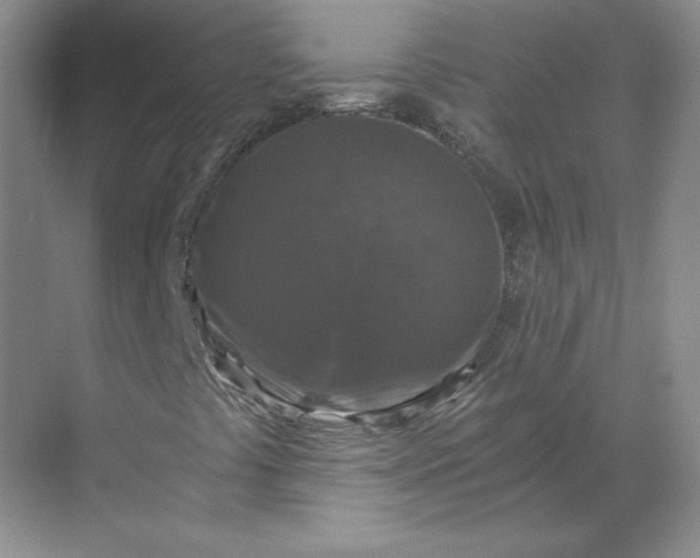 X0000068811441200605191755