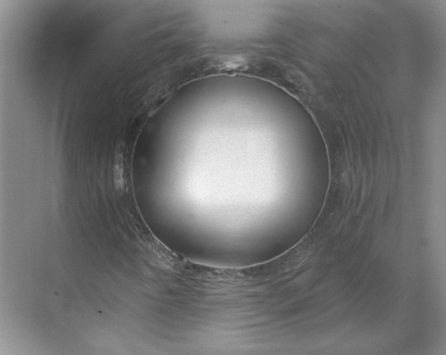 X0000068811442200605191755