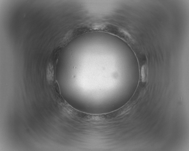 X0000068811443200605191755