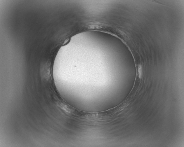 X0000068811444200605191755