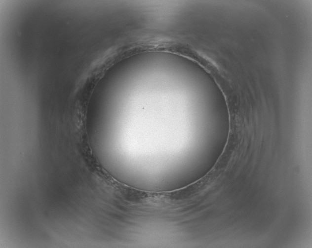 X0000068811447200605191755