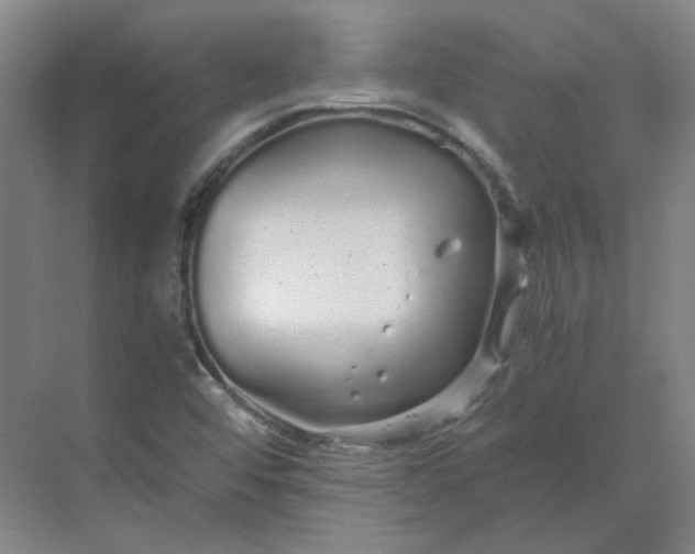 X0000068811456200605191754