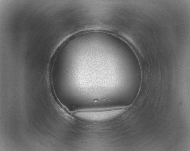 X0000068811460200605191754