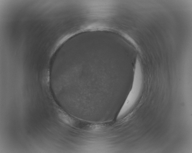 X0000068811461200605191754