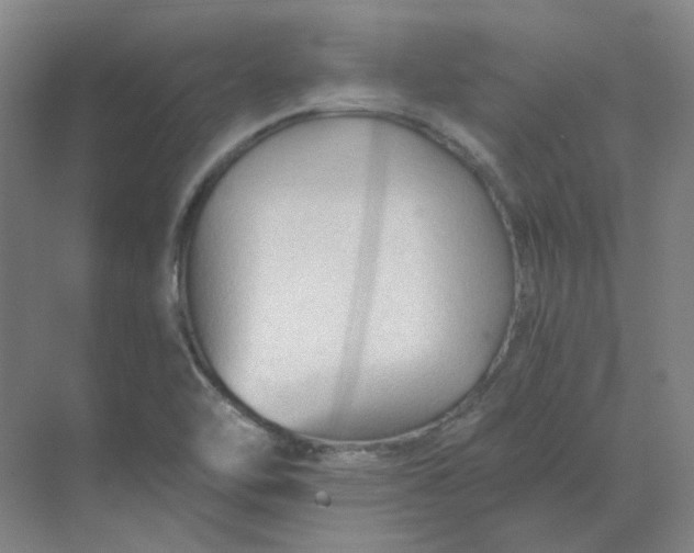 X0000068811462200605191754