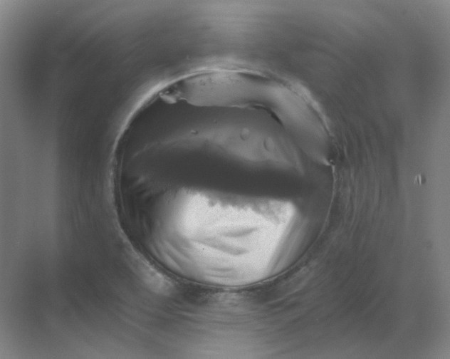 X0000068811463200605191754