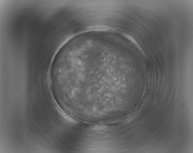 X0000068811466200605191754