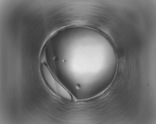 X0000068811467200605191754