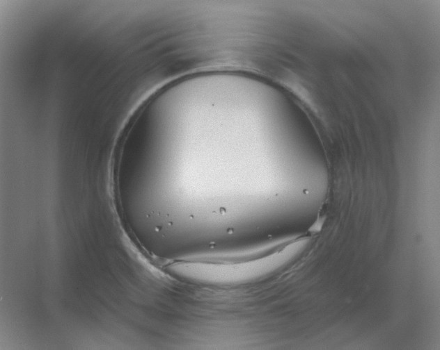 X0000068811468200605191754