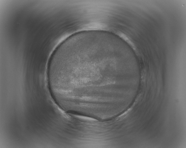 X0000068811469200605191754