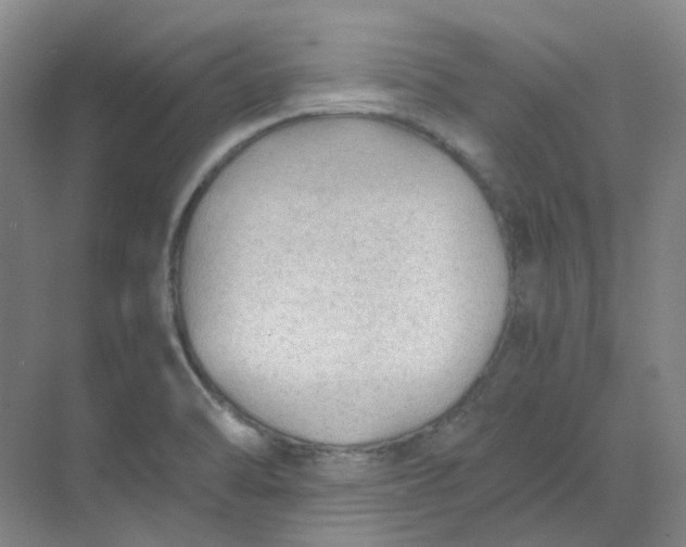 X0000068811470200605191754