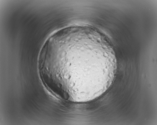 X0000068811471200605191754