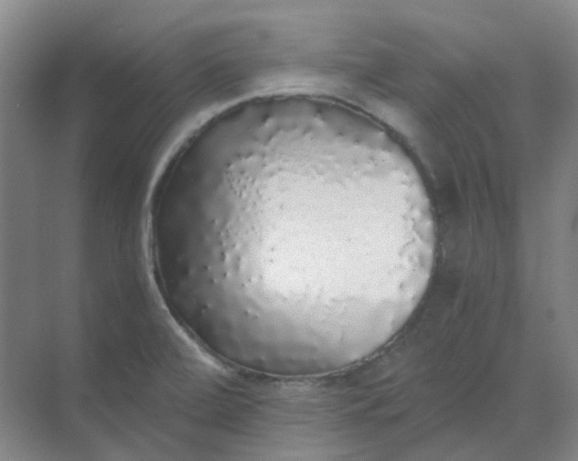 X0000068811472200605191754