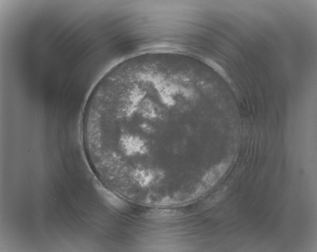 X0000068811474200605191754