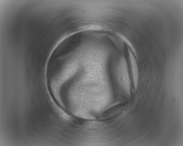 X0000068811475200605191754