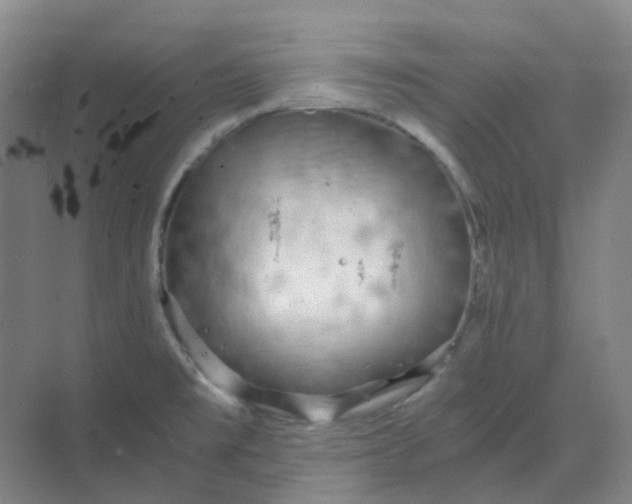 X0000068811477200605191754