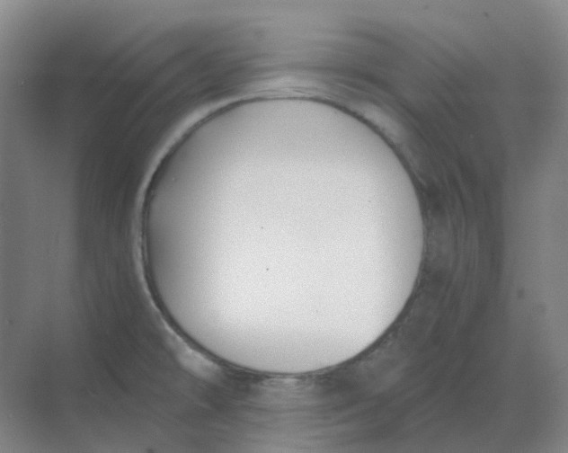 X0000068811478200605191754