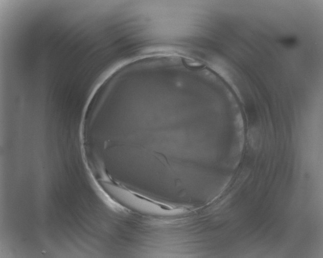 X0000068811482200605191754