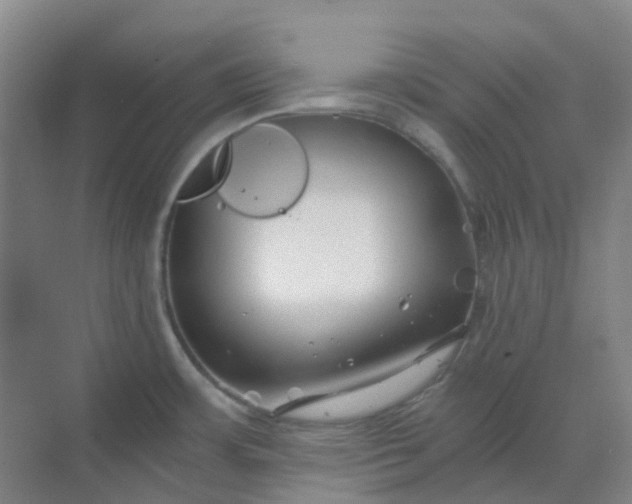 X0000068811483200605191754