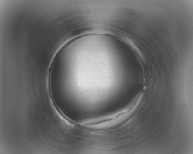 X0000068811484200605191754