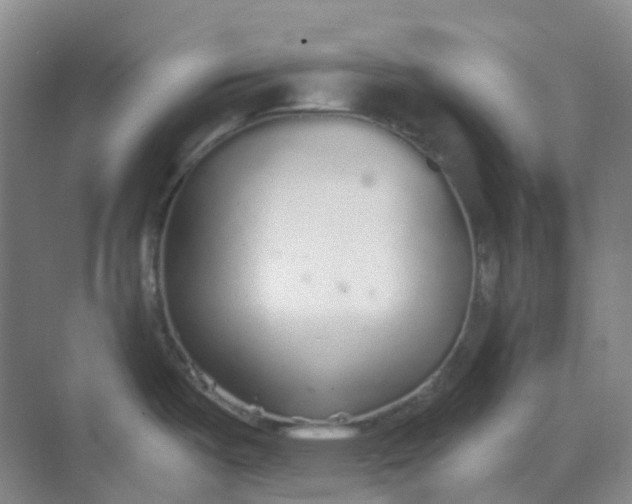 X0000068811487200605191754