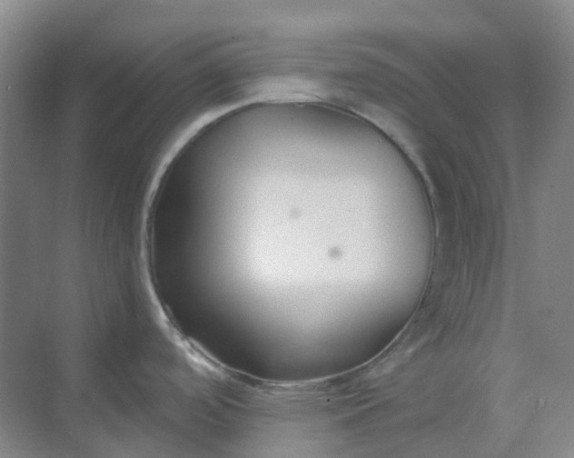 X0000068811488200605191754