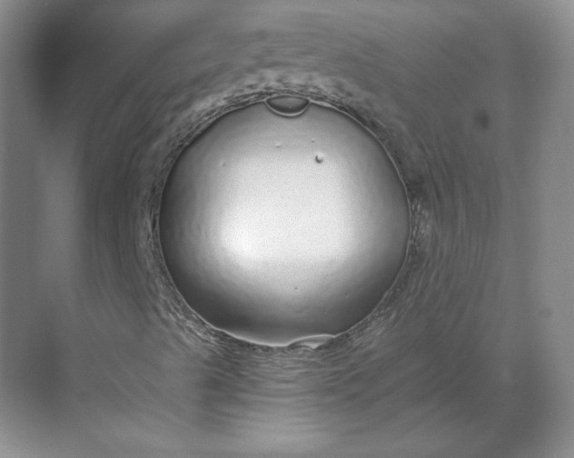 X0000068811489200605191753