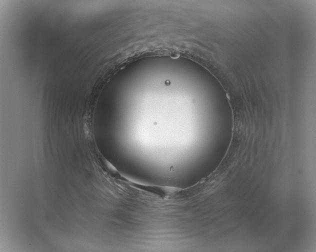 X0000068811490200605191753