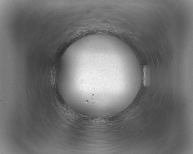 X0000068811491200605191753