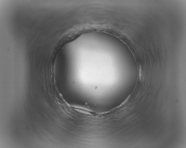 X0000068811492200605191753