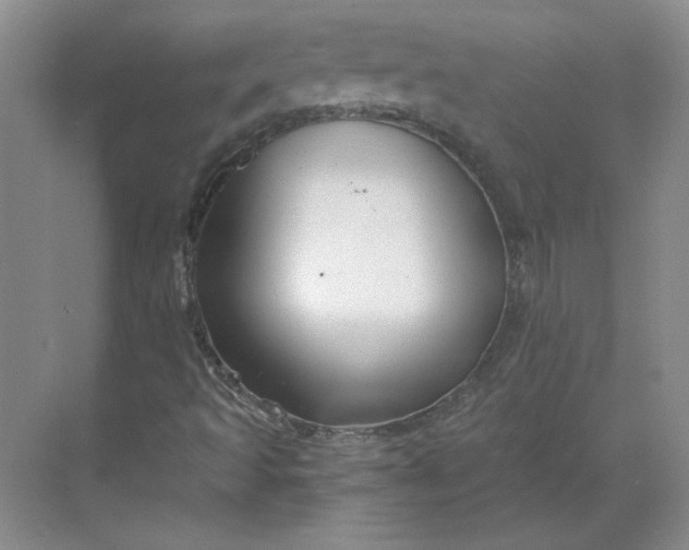 X0000068811493200605191753