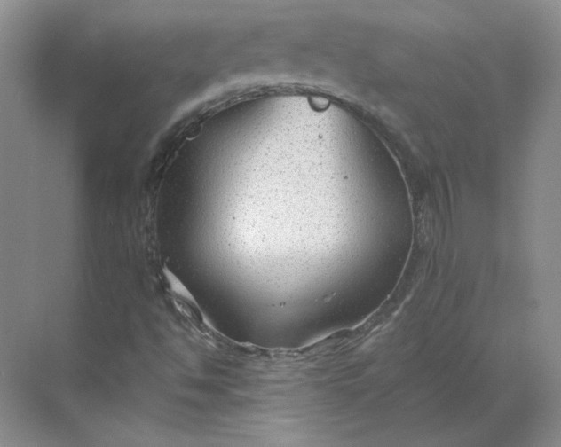 X0000068811494200605191753