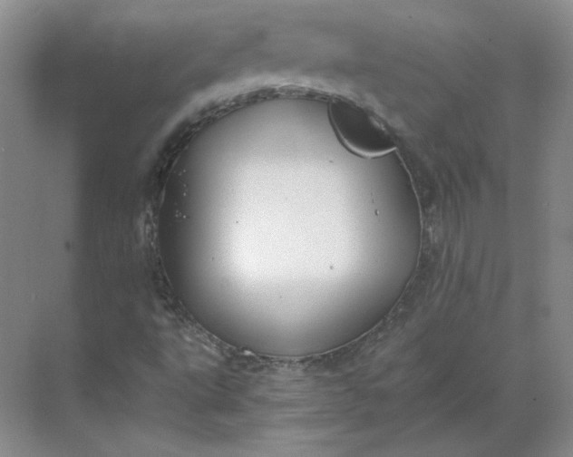 X0000068811495200605191753