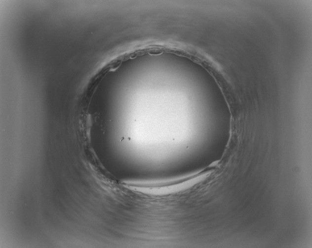 X0000068811496200605191753