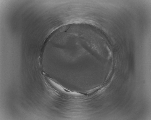 X0000068811497200605191753