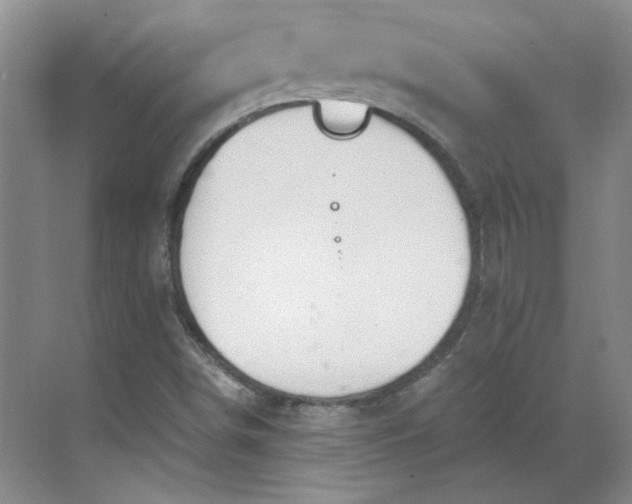 X0000068811498200605191753