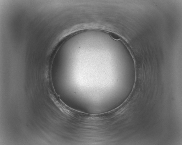 X0000068811499200605191753