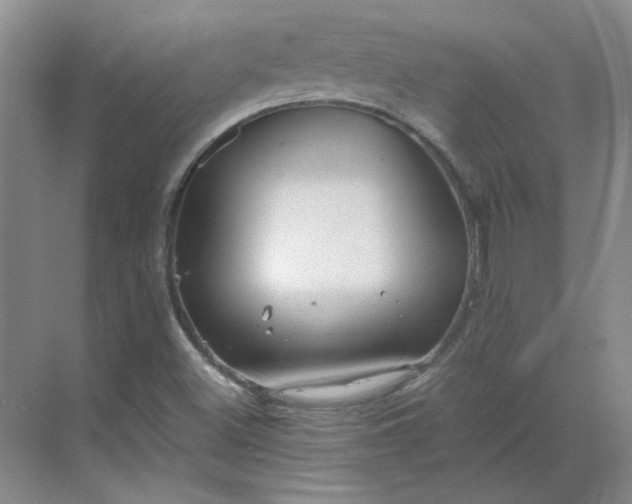 X0000068811500200605191753