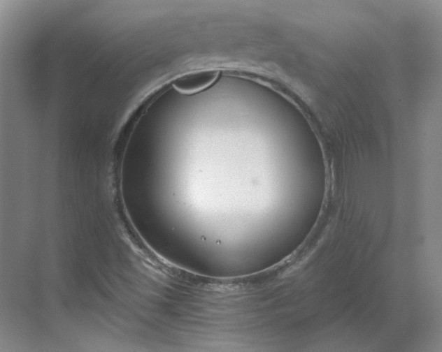 X0000068811501200605191753