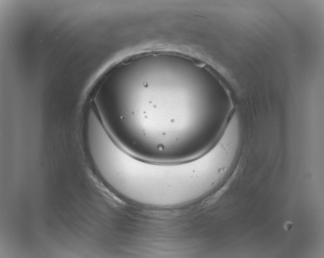 X0000068811502200605191753